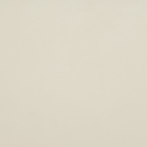 Bone White