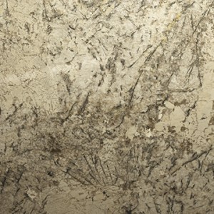 PersaPearl_Large